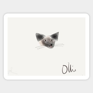 Ollie the cat. Sticker